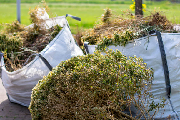 Best Estate Cleanout Services  in Edison, GA